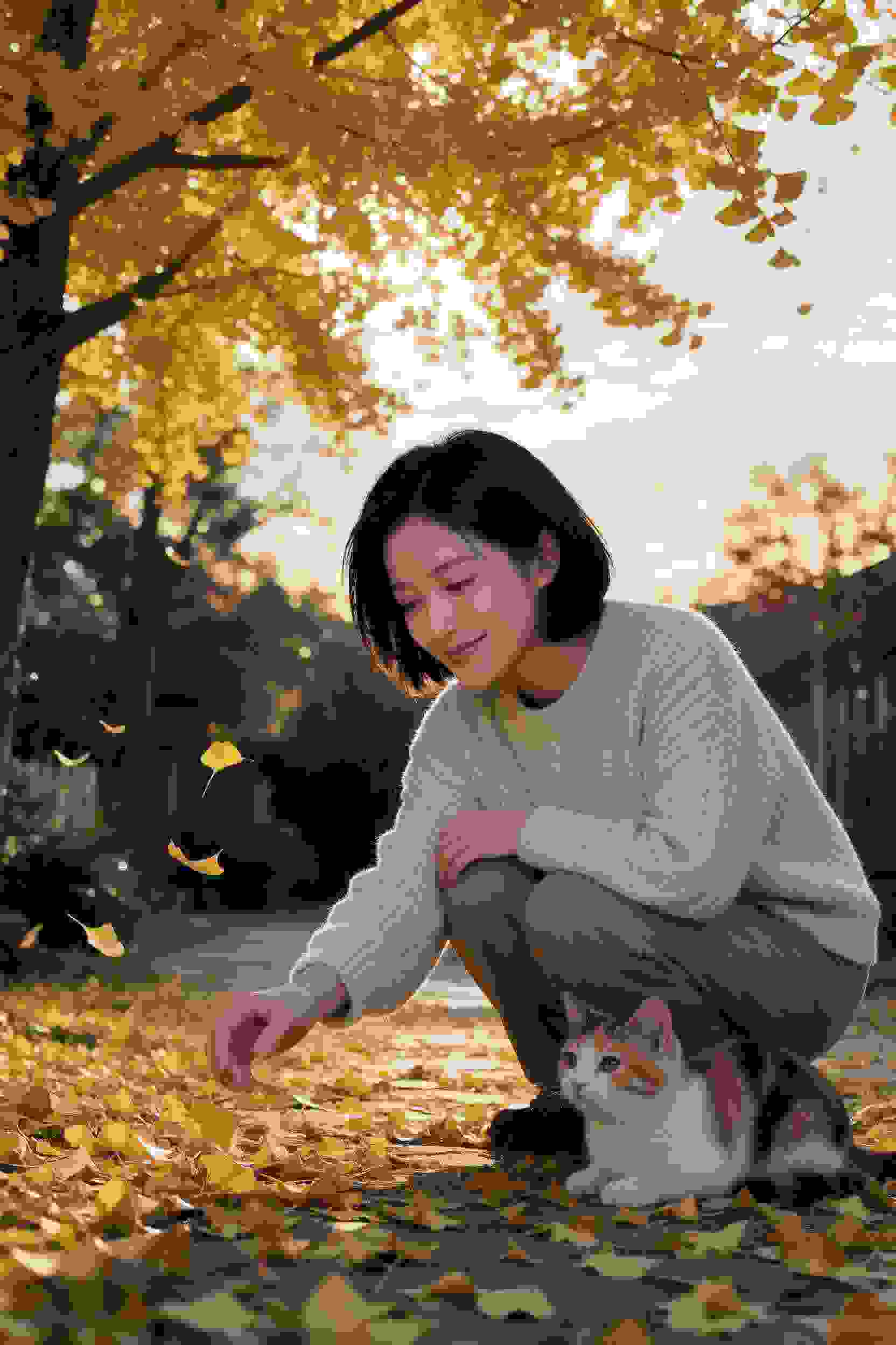 秋叶原系列